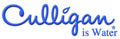 Culligan Shower Filters