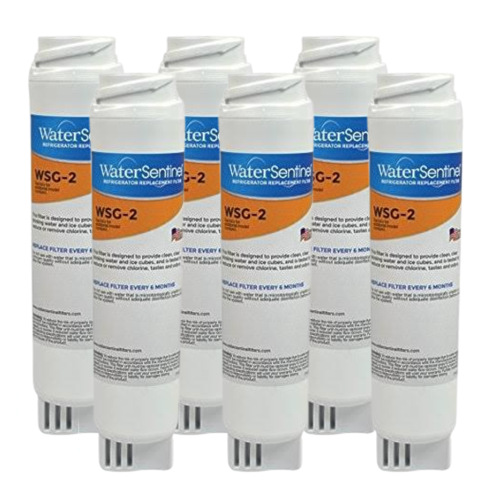 Water Sentinel WSG-2 Refrigerator Water Filter - GE GSWF Compatible (Replaced with GS-G2)